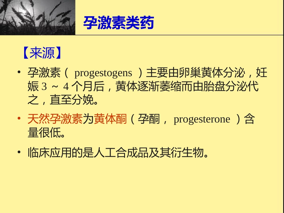 性激素类药物与避孕药-课件_第13页
