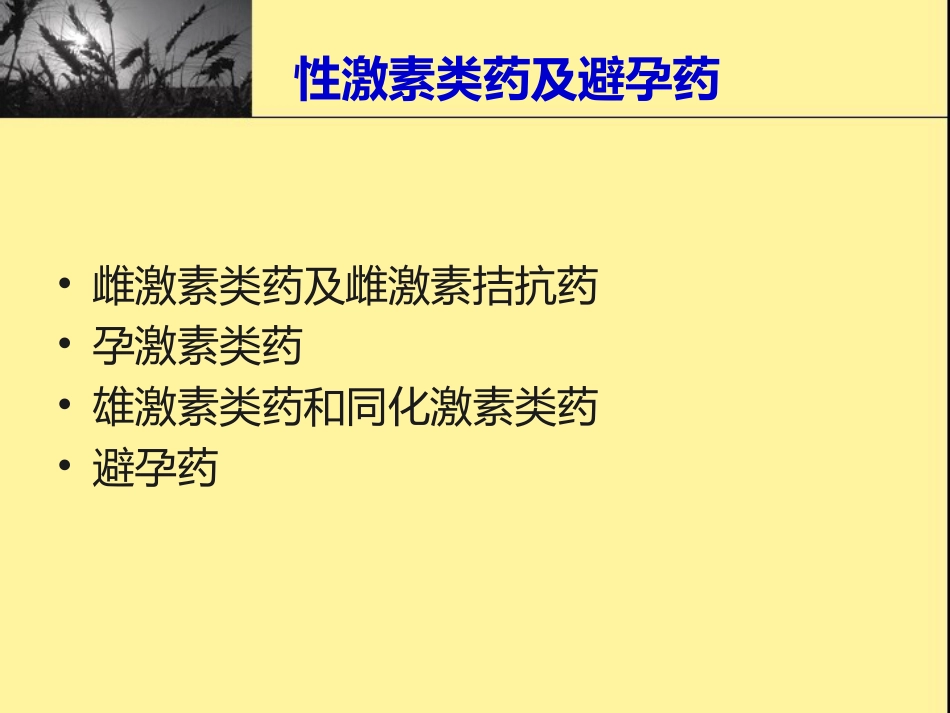 性激素类药物与避孕药-课件_第2页