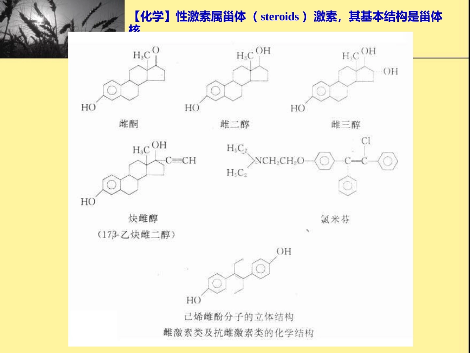 性激素类药物与避孕药-课件_第5页