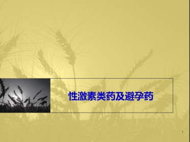 性激素类药物与避孕药-课件