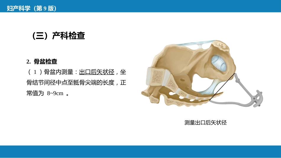 产前检查与孕期保健_第13页