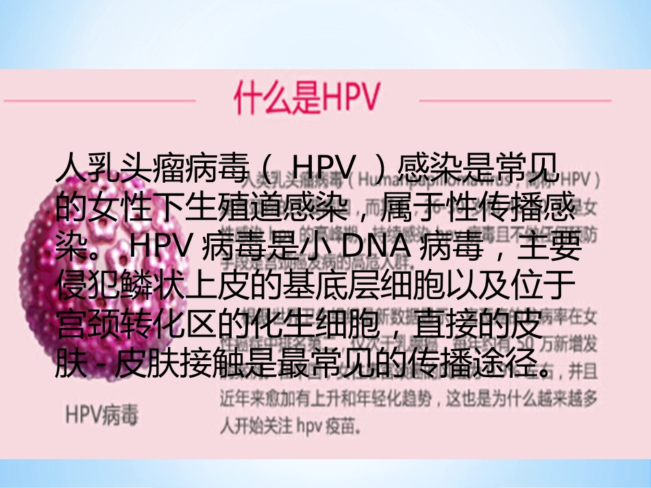 最新宫颈癌疫苗与HPVPPT课件【18页】_第2页