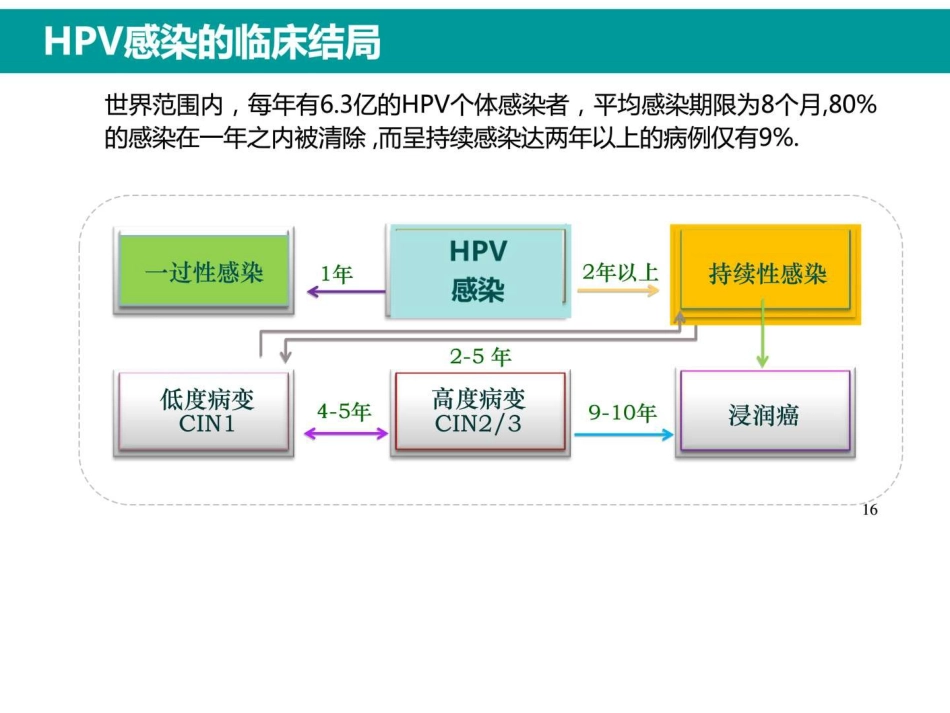 最新HPV感染与临床防治【63页】_第15页