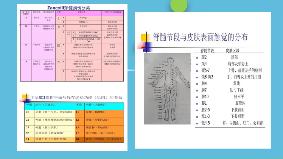一例颈髓损伤伴不完全性瘫痪患者的个案护理_第5页