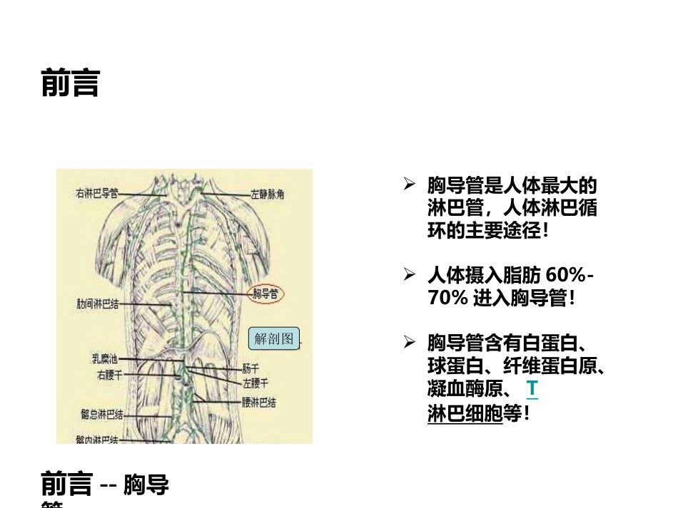 一例乳糜胸患者护理体会_第3页
