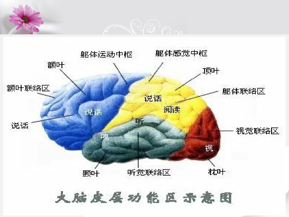 一例大面积脑梗塞患者的康复护理_第5页