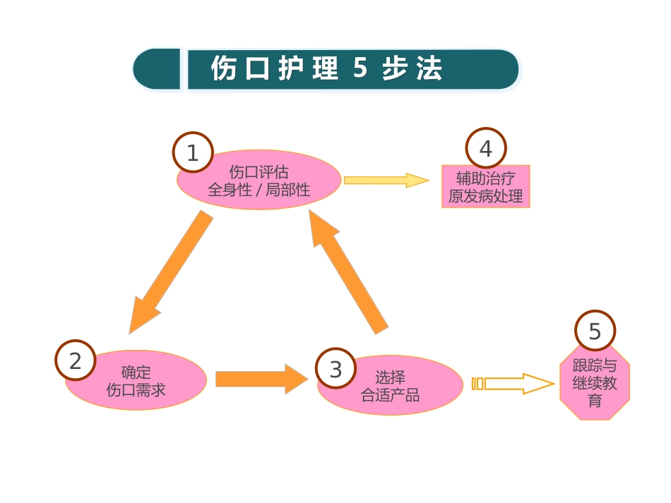 糖尿病压疮伤口个案_第5页