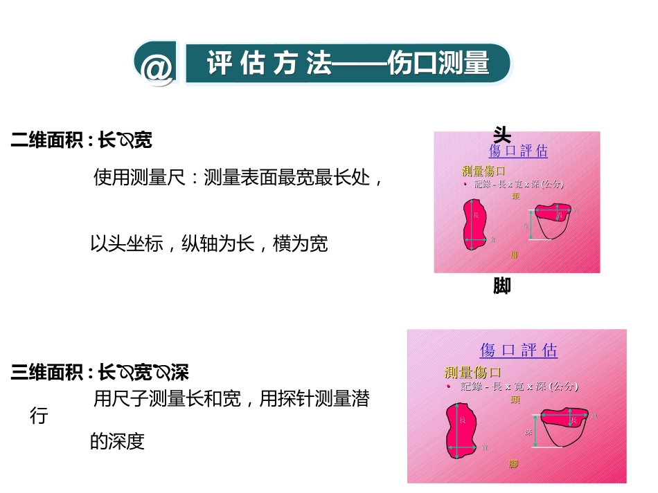 糖尿病压疮伤口个案_第8页