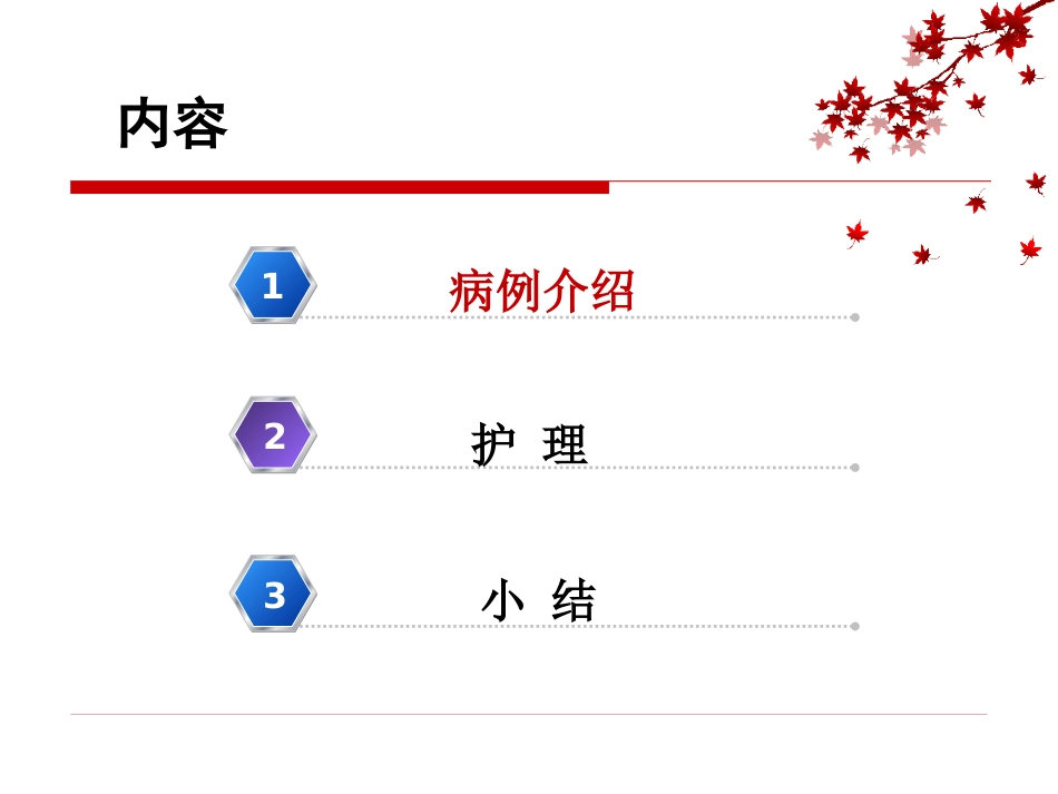 1例风湿性心脏病瓣膜置换术后并发电风暴患者的急救与护理_第2页