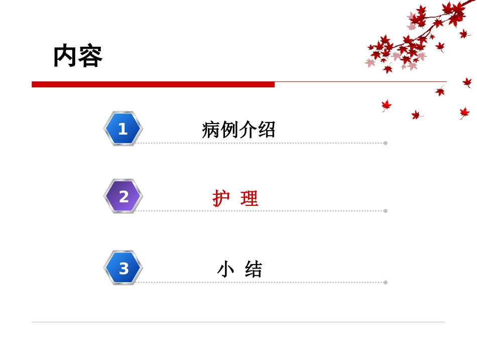 1例风湿性心脏病瓣膜置换术后并发电风暴患者的急救与护理_第8页