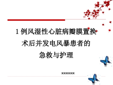 1例风湿性心脏病瓣膜置换术后并发电风暴患者的急救与护理