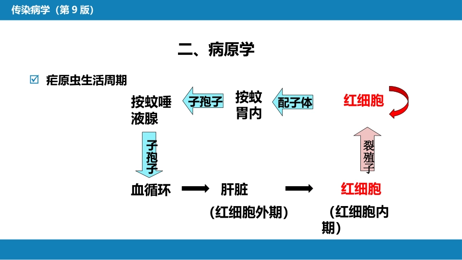 第七章 原虫病 第二节 疟疾_第11页