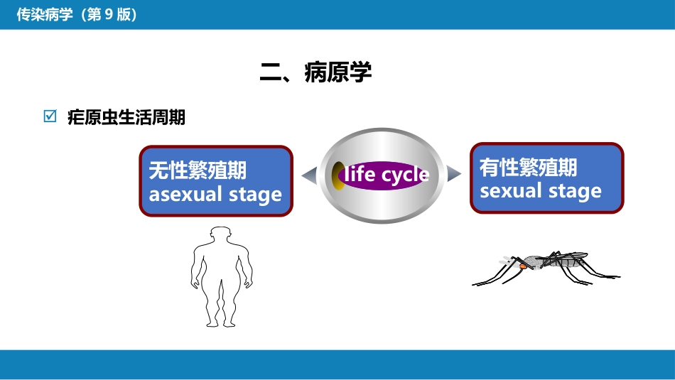 第七章 原虫病 第二节 疟疾_第9页