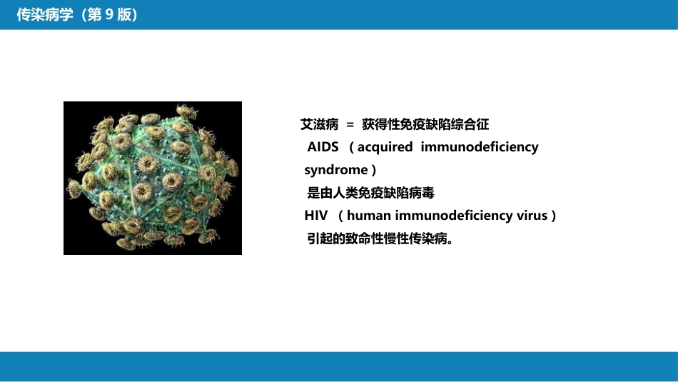第二章 病毒性传染病 第十二节 狂犬病_第6页