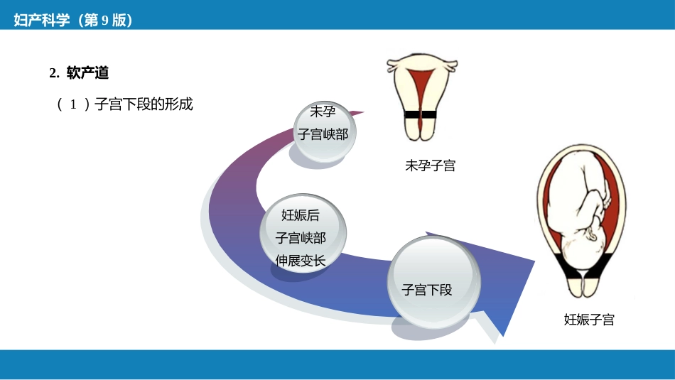 正常分娩.._第13页