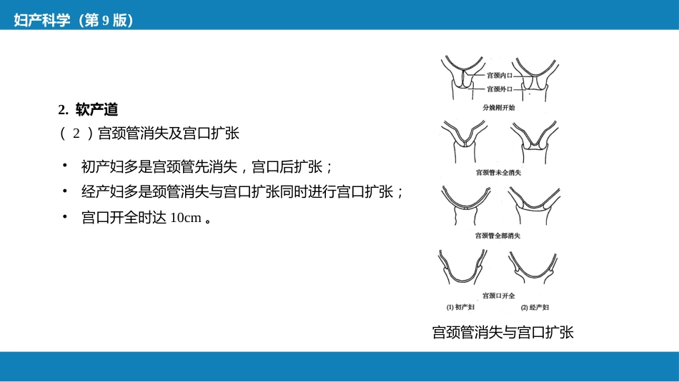 正常分娩.._第14页