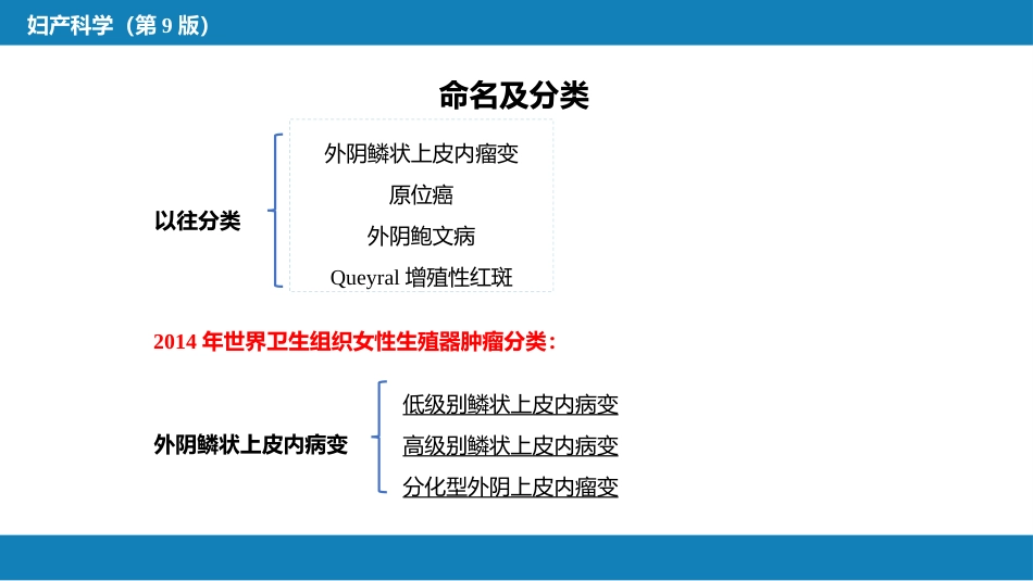 外阴肿瘤._第7页