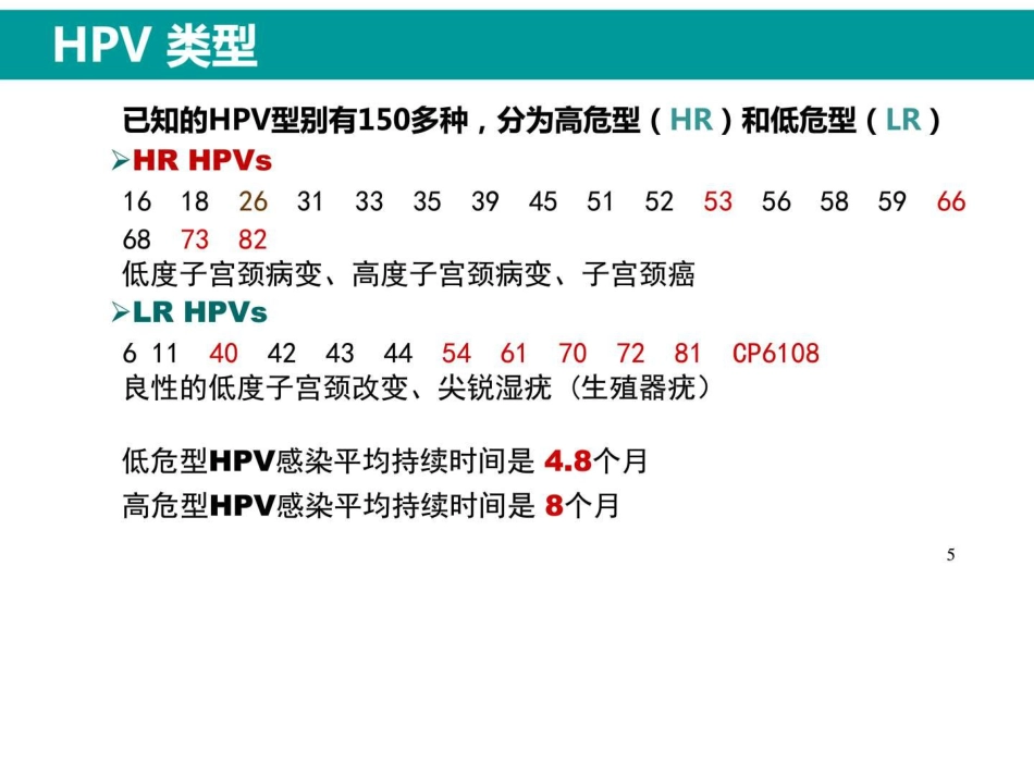 最新HPV感染与临床防治_第4页