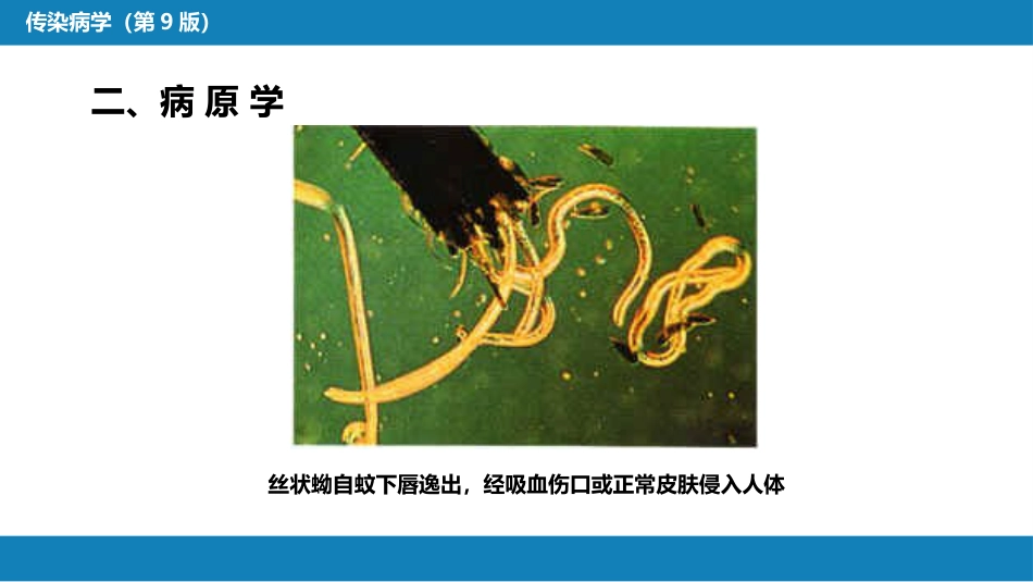 第八章 蠕虫病 第二节 丝虫病_第15页
