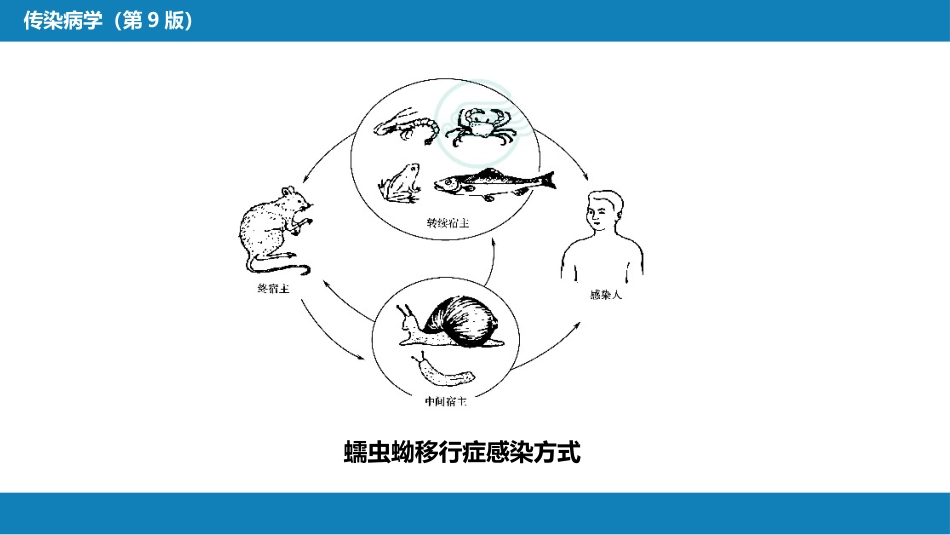 第八章 蠕虫病 第七节 蠕虫蚴移行症_第6页