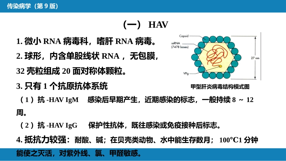 第二章 病毒性传染病 第一节 病毒性肝炎（一）_第10页