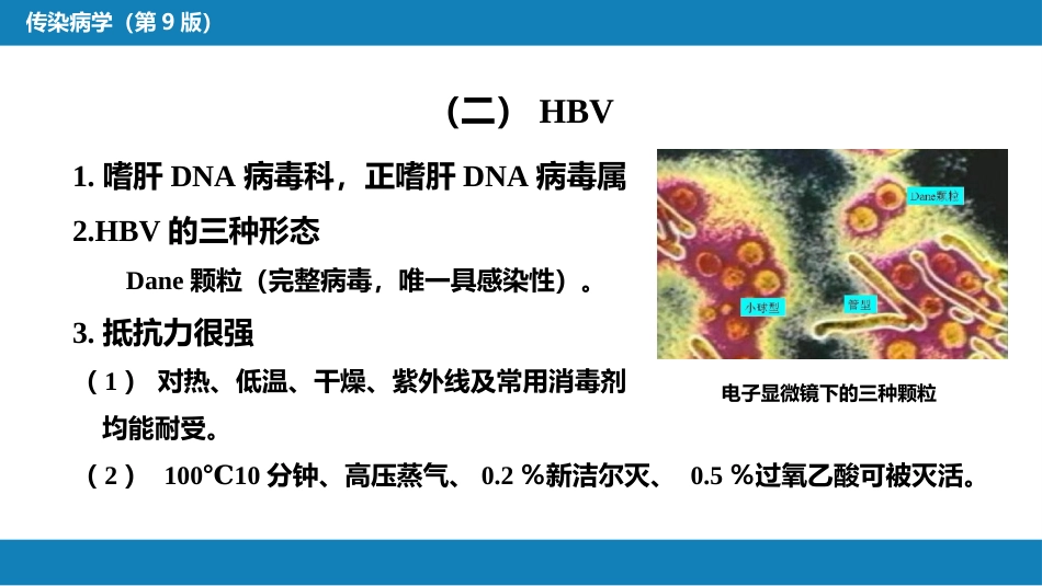 第二章 病毒性传染病 第一节 病毒性肝炎（一）_第11页