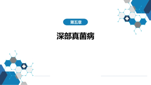 第五章 深部真菌病 第四节 肺孢子菌病