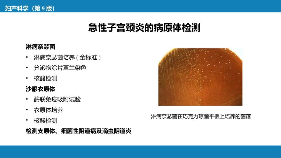 子宫颈炎症._第11页