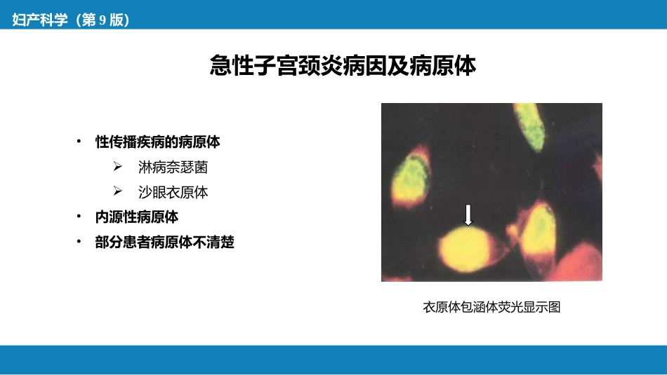 子宫颈炎症._第6页