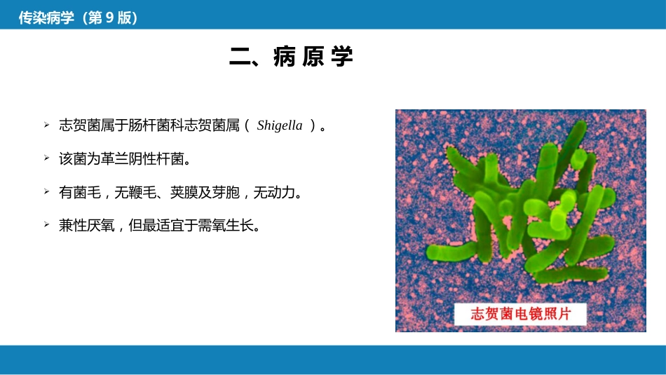 第四章 细菌性传染病 第五节 细菌性痢疾_第8页