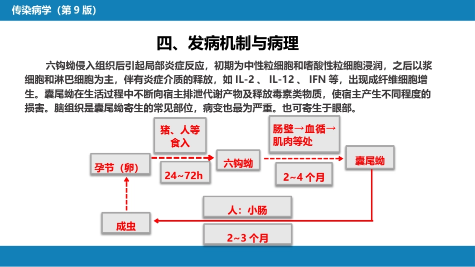 第八章 蠕虫病 第五节 囊尾蚴病_第13页