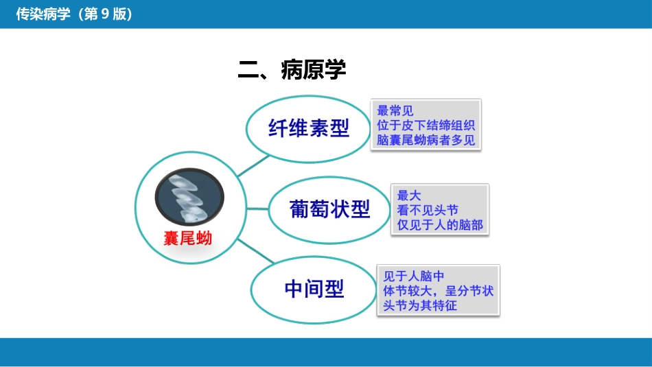 第八章 蠕虫病 第五节 囊尾蚴病_第9页