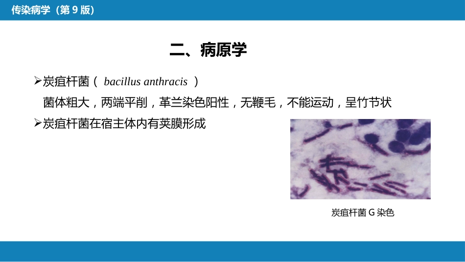 第四章 细菌性传染病 第八节 炭疽_第8页