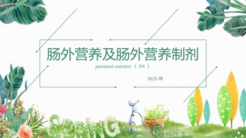 肠外营养及肠外营养制剂