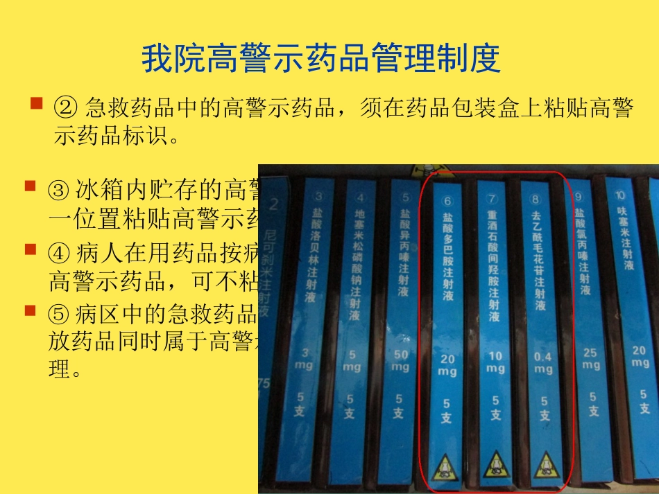 高警示药品管理经验分享(分析“药品”文档)共PPT_第13页