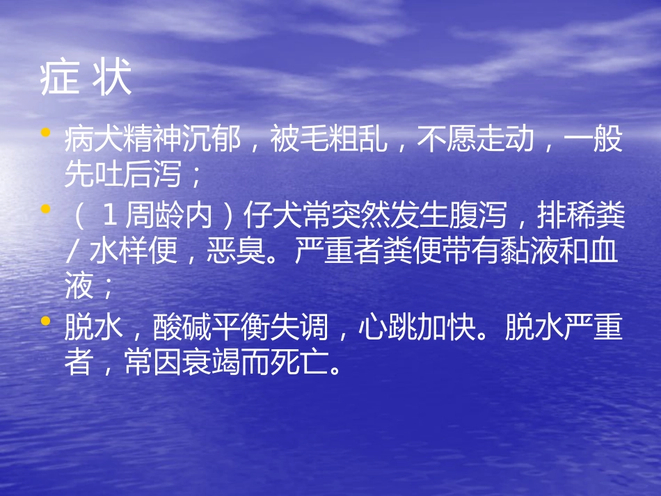 犬轮状病毒病PPT讲稿_第6页