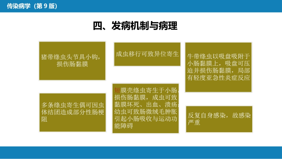 第八章 蠕虫病 第四节 肠绦虫病_第14页