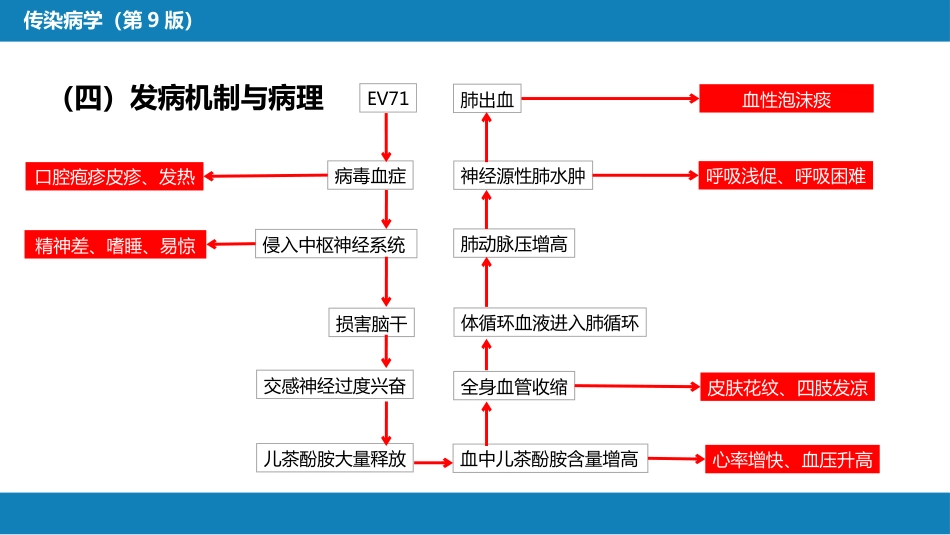 第二章 病毒性传染病 第二节 肠道病毒感染 手足口病+病毒感染性腹泻_第8页