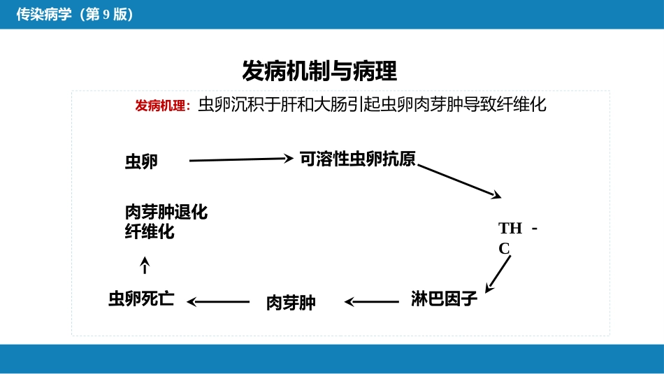 第八章 蠕虫病 第一节 吸虫病_第8页