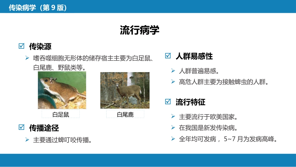 第三章 立克次体病 第三节 人无形体病_第11页