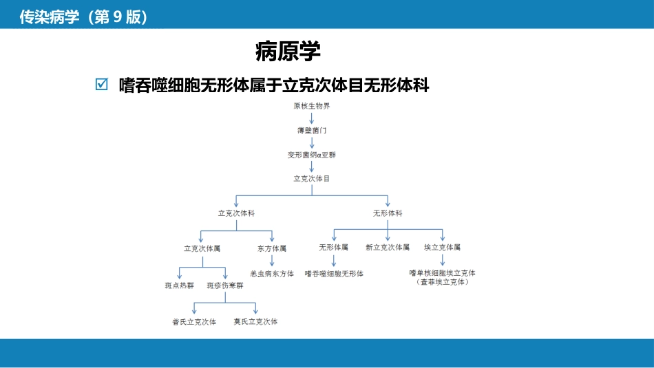 第三章 立克次体病 第三节 人无形体病_第8页