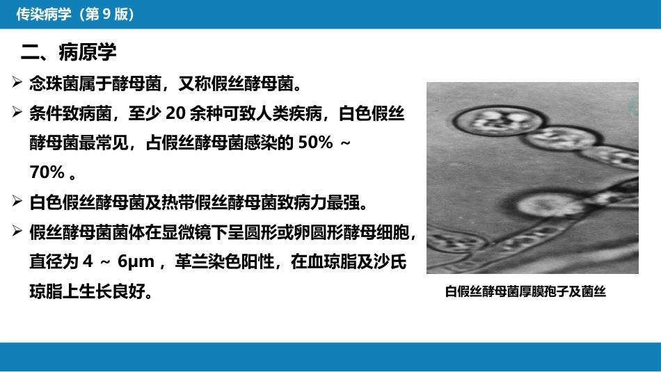 第五章 深部真菌病 第二节 念珠菌病_第8页