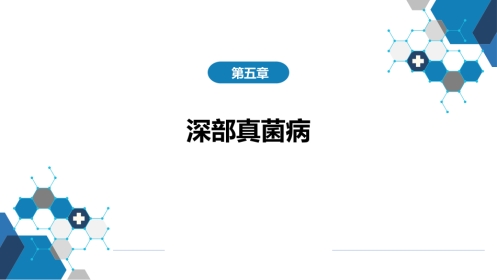 第五章 深部真菌病 第二节 念珠菌病