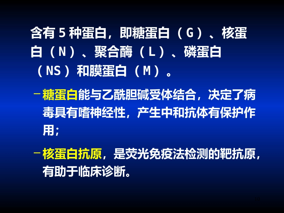 其他病毒狂犬病病毒_第10页