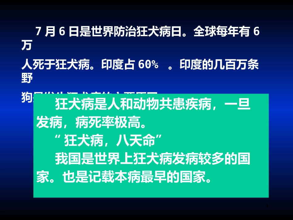 其他病毒狂犬病病毒_第4页