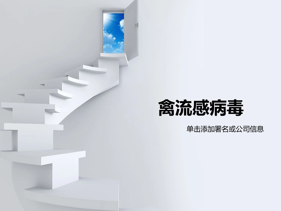 禽流感病毒_第1页