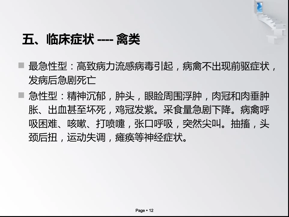 禽流感病毒_第12页