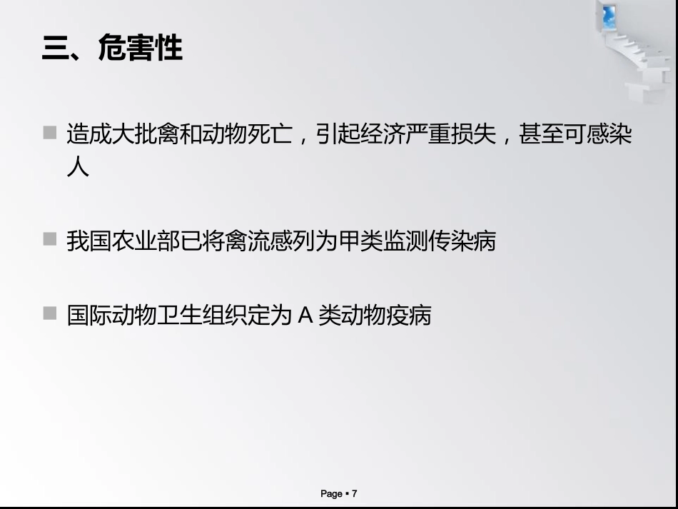 禽流感病毒_第7页