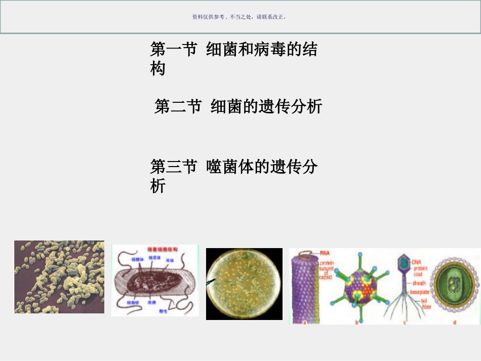 细菌和病毒的遗传_第1页