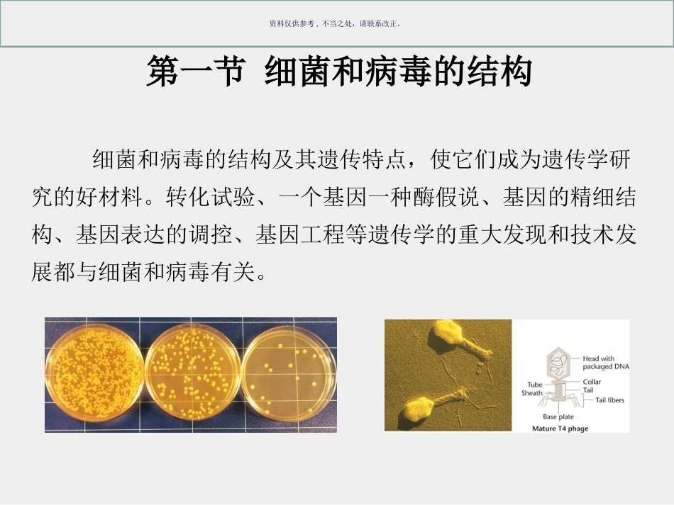 细菌和病毒的遗传_第2页
